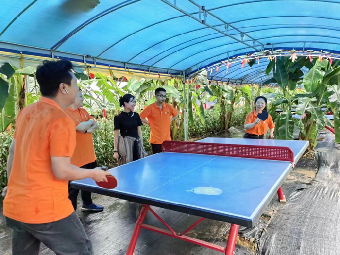 閑暇時光&nbsp;和諧歡愉