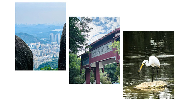 登山團建丨攜手共進&nbsp; 勇攀高峰